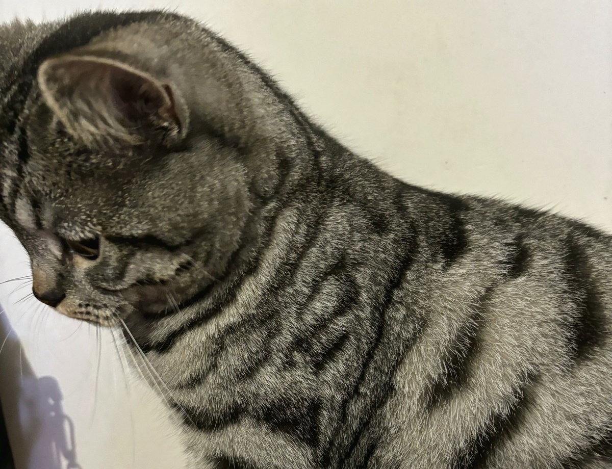 Второй... --->>>