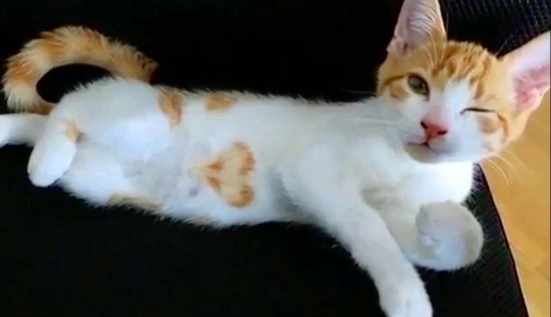 Привет, красотка? Замутим? --->>>