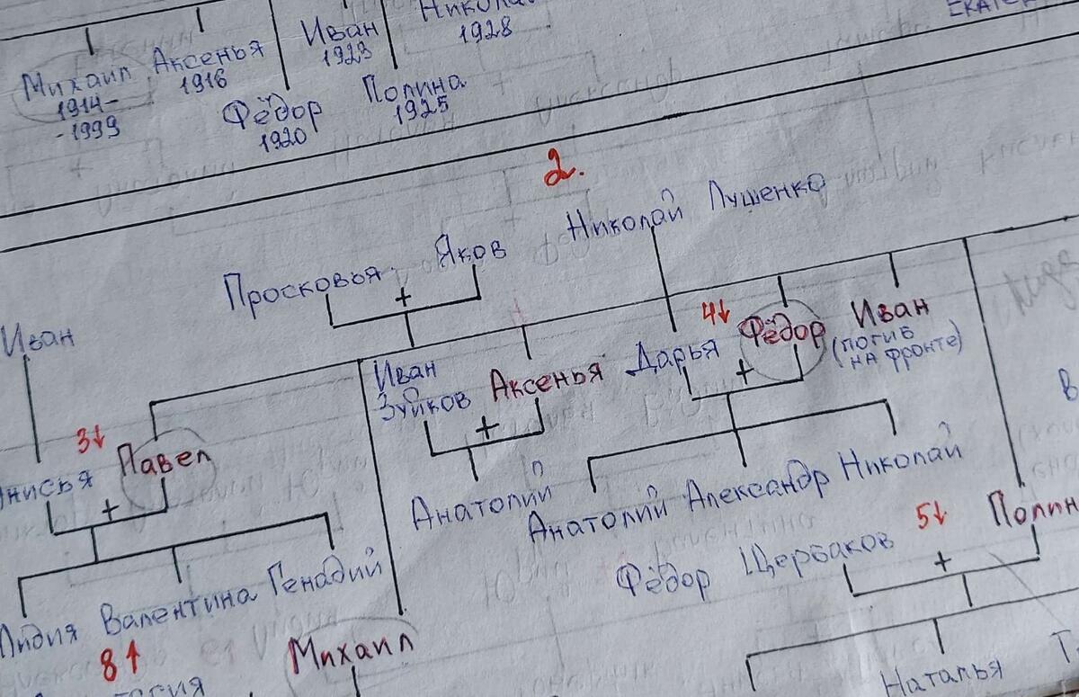 Фрагмент из моей тетрадки для генеалогических записей 