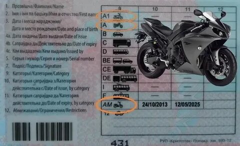 фото источник интернет