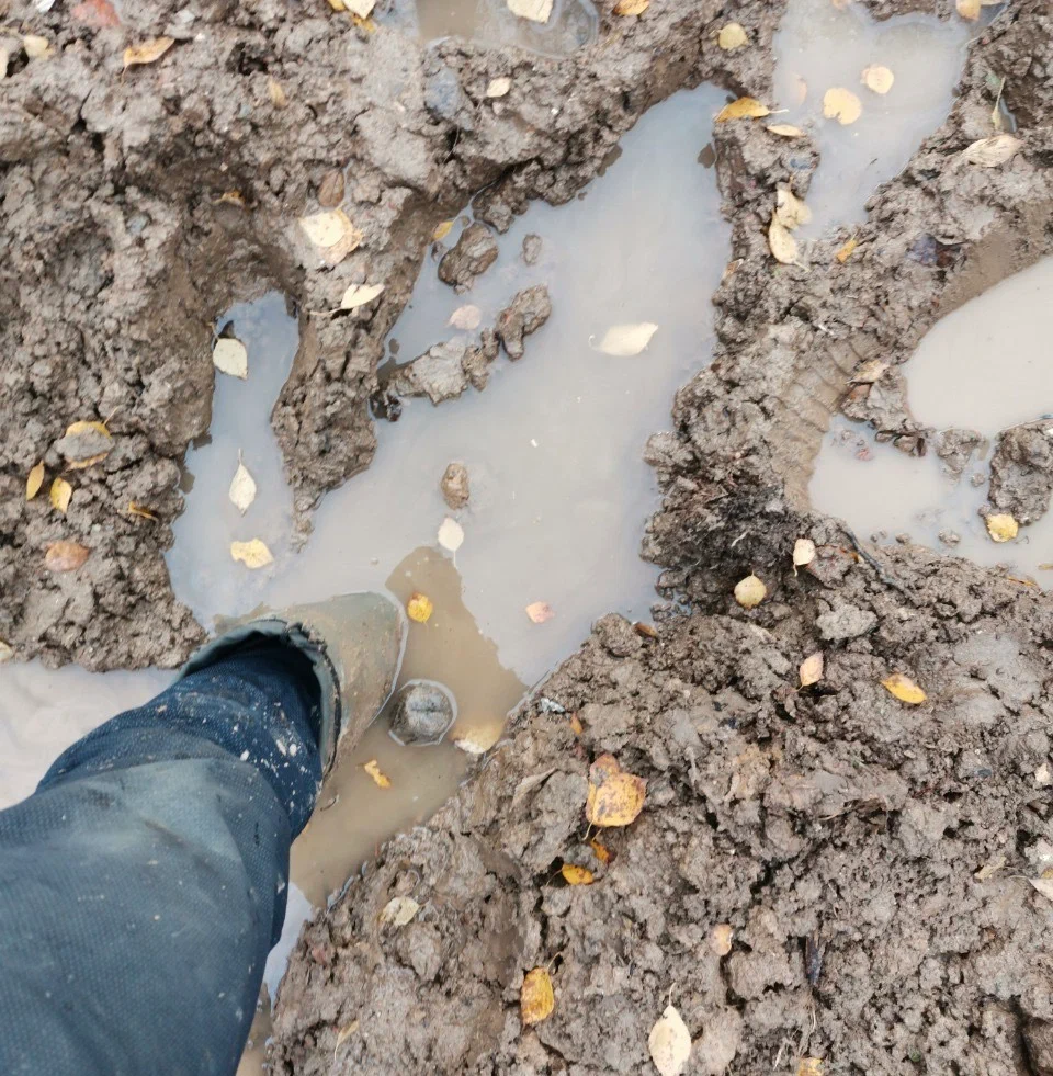 На осмотр участка весной стоит взять с собой сапоги