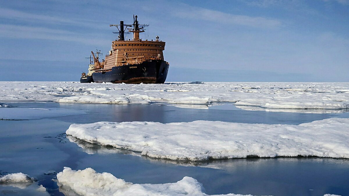    Фото: Roman Denisov/globallookpress.com