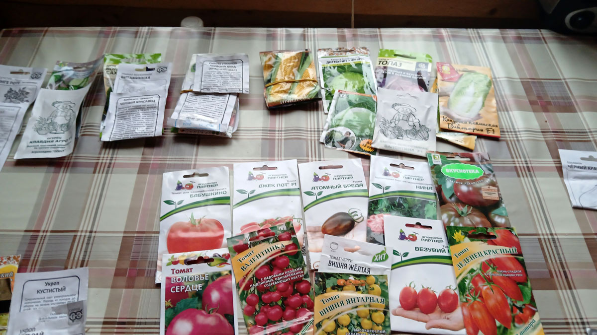 Общий вид на запасы семян