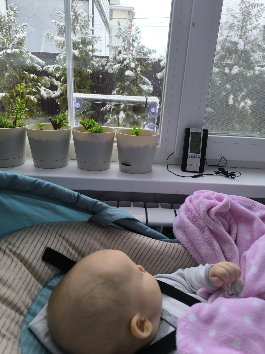 Вот такую кормушку