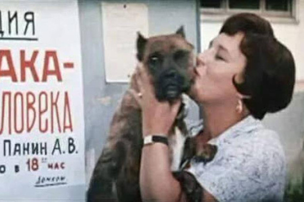 Это и правда так.  фото: картинки яндекса.