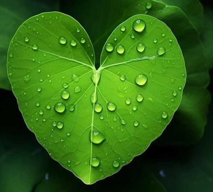 «Самый большой порок в человеке — поверхностность. Во всём, что происходит в нашей жизни, есть свой глубокий смысл»