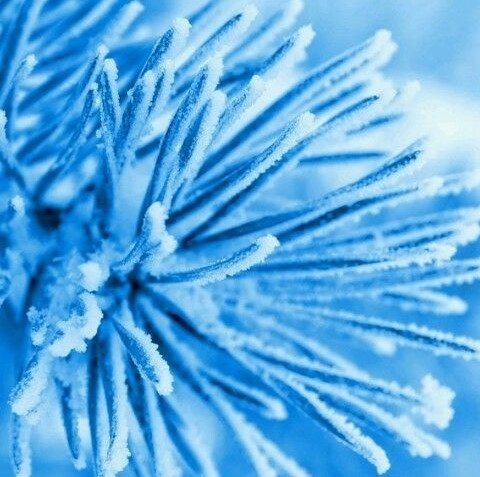 «Существовать — значит изменяться, изменяться — значит взрослеть, взрослеть — значит бесконечно создавать себя» 