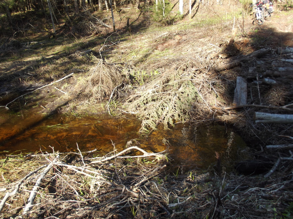 Ещё ручей
