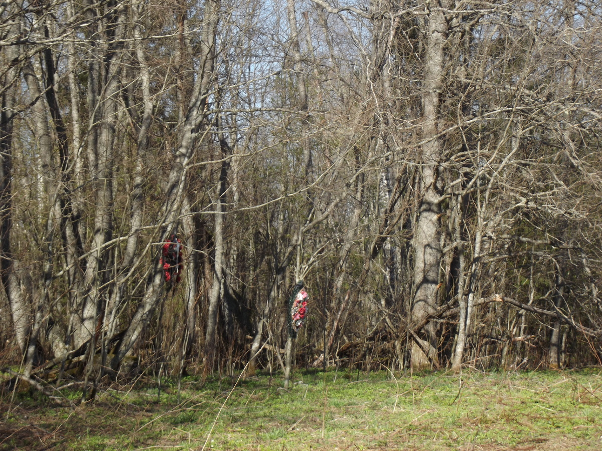 Братские могилы