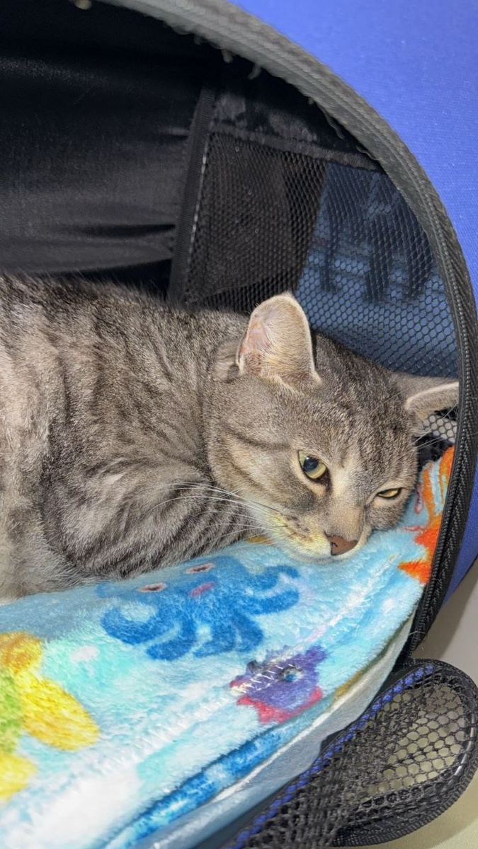 Фото автора. В поезде. 