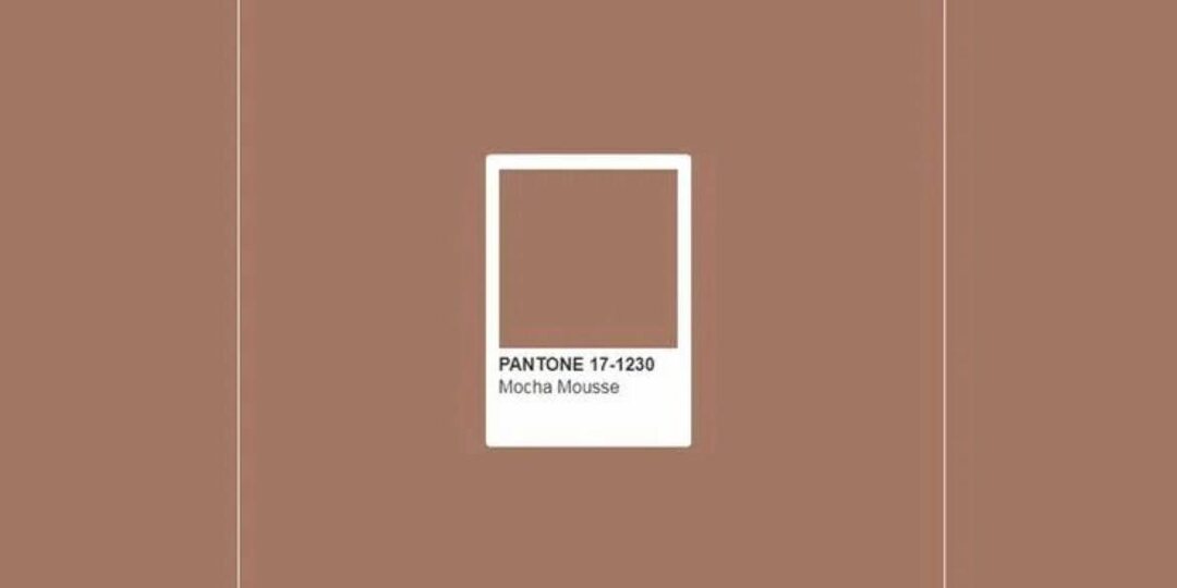 Институт цвета Pantone выбрал цветом 2025 года цвет мокко.