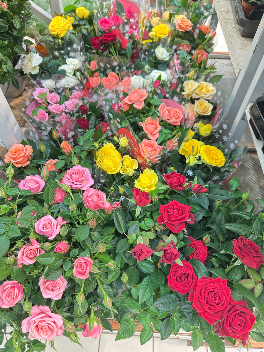 Вчера в магазине сфотографировал.