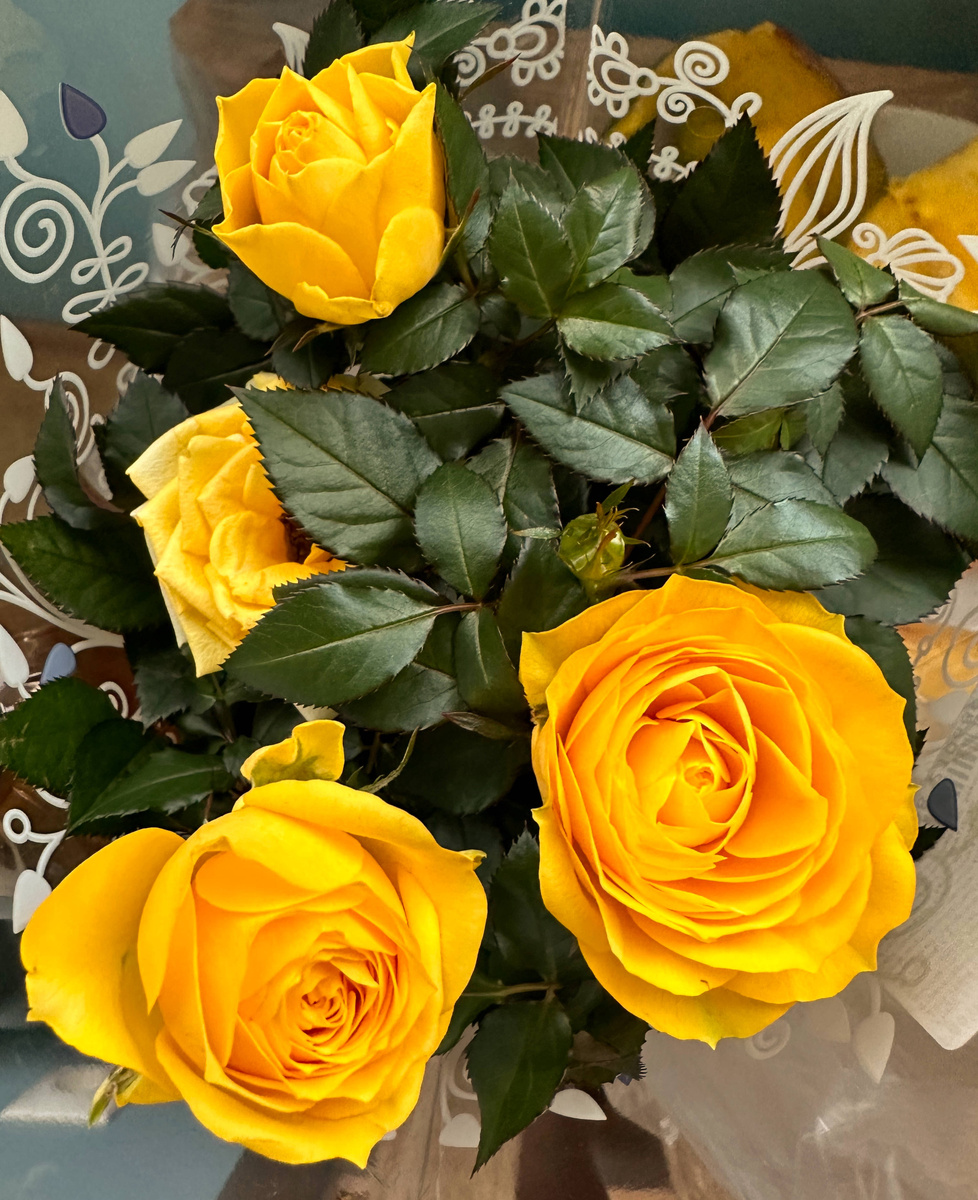 Такая жила у нас два года назад.