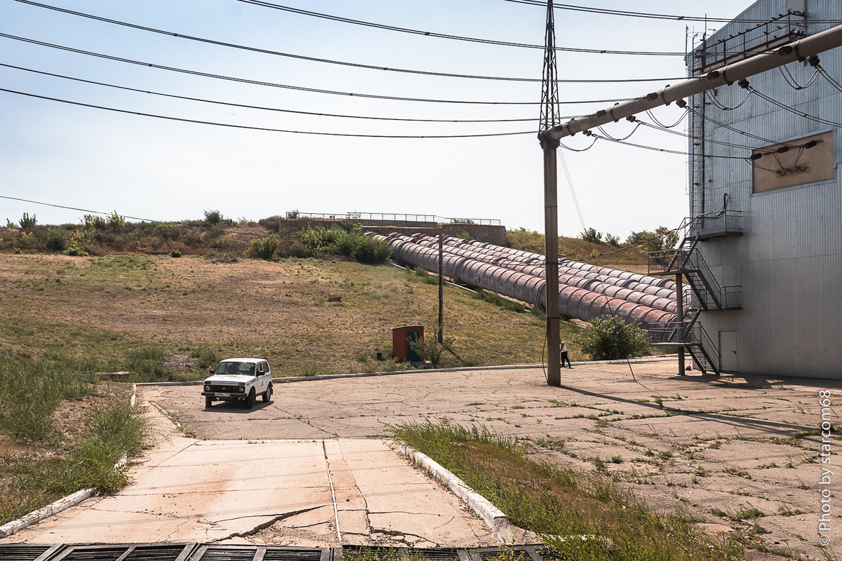Белка на площадке рядом с насосной станцией № 3 Саратовского оросительно-обводнительного канала
