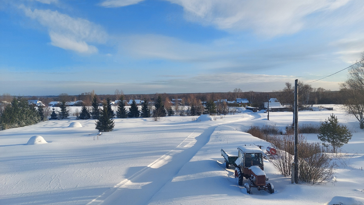 Вид на поместье из окна