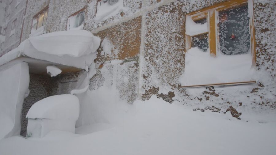 яндекс картинки