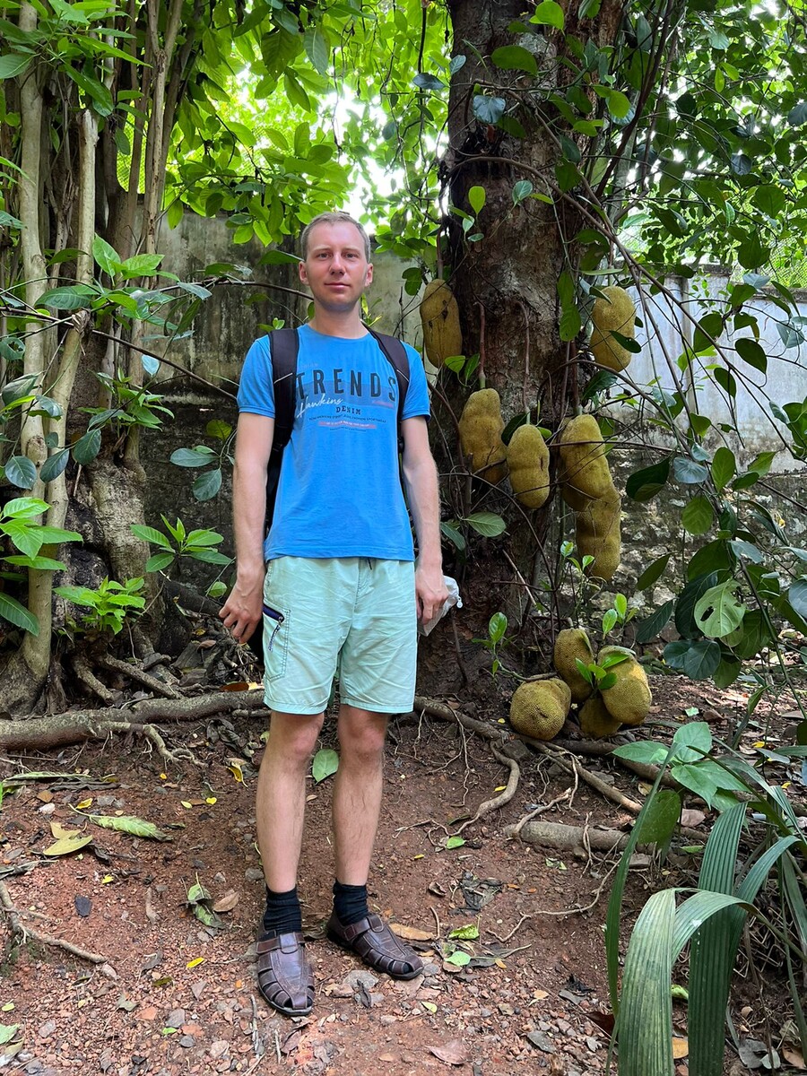 Хлебное дерево. Тривандрум. Зоопарк. 2023 г.