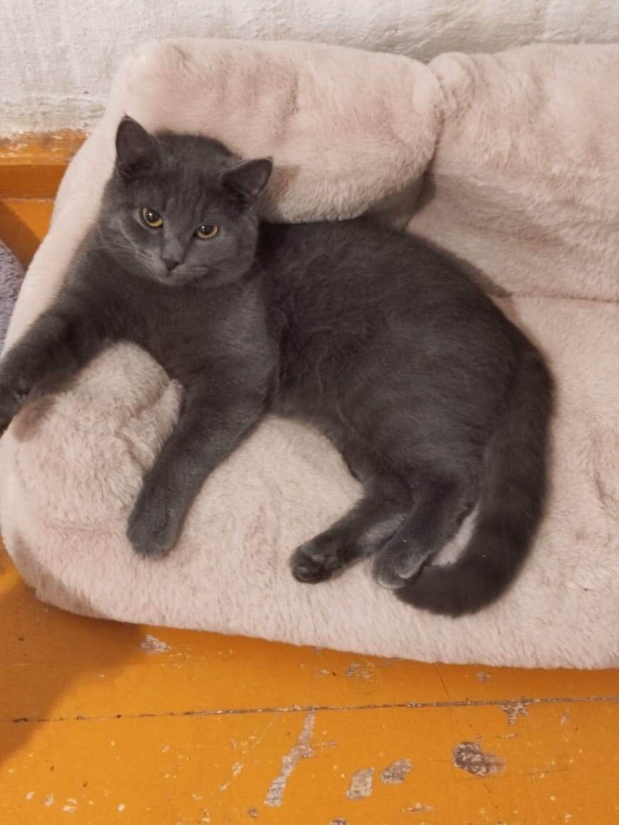 Леха Амальевич )))