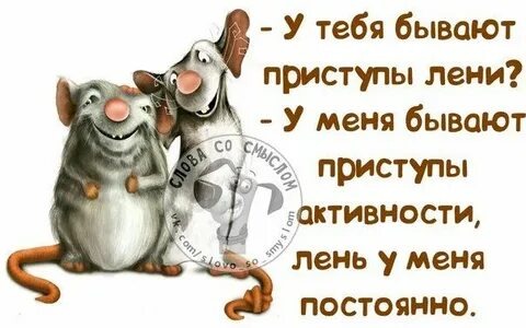 Из свободных источников.