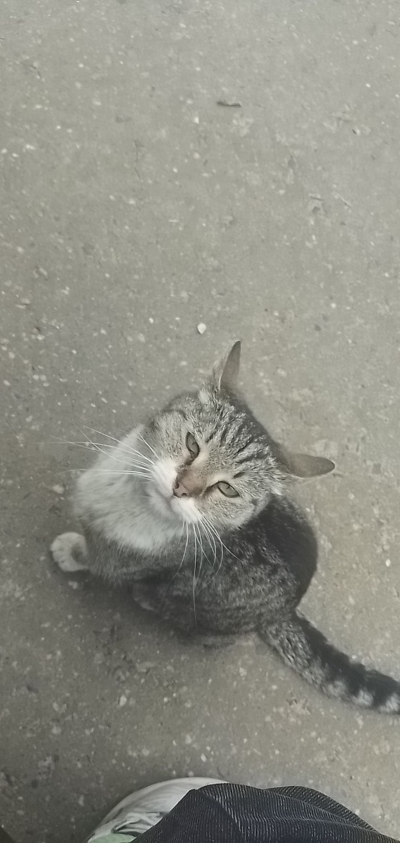 Личное фото автора канала