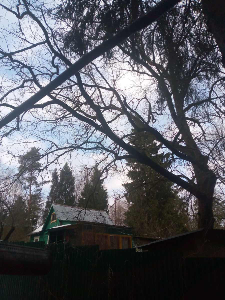 Который день выглядывает солнышко 