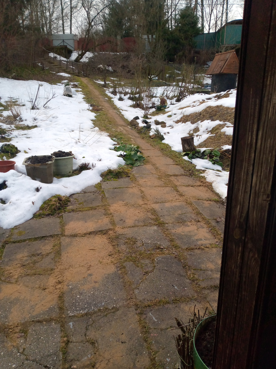 Наш участок в конце января 