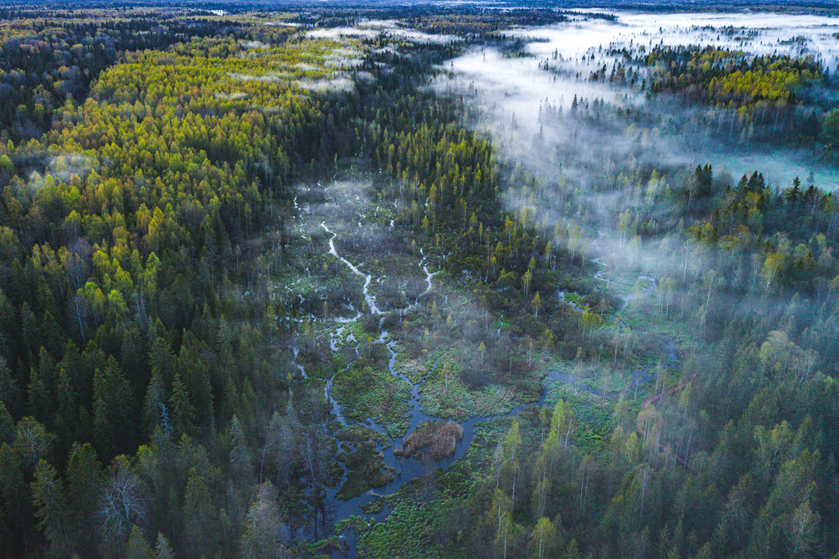 Фото: Дмитрий Иванов, участник фотоконкурса РГО "Самая красивая страна"