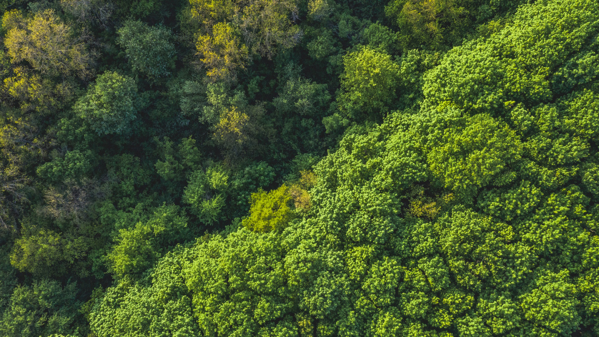 Фото: Дмитрий Иванов, участник фотоконкурса РГО "Самая красивая страна"