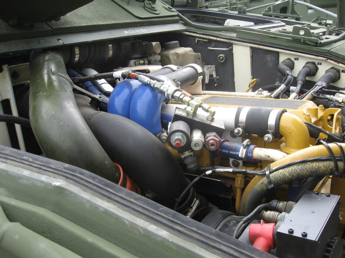 Фото: primeportal.net