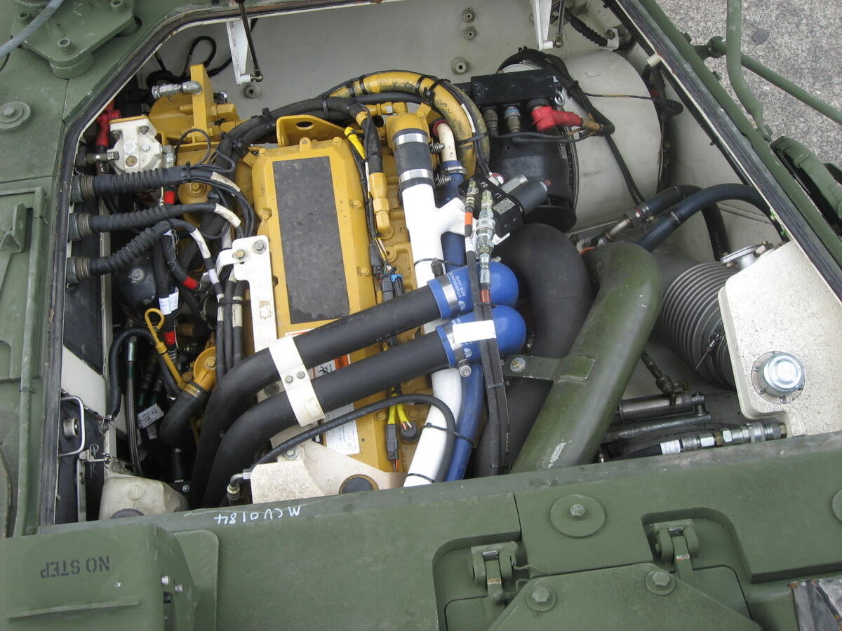 Фото: primeportal.net