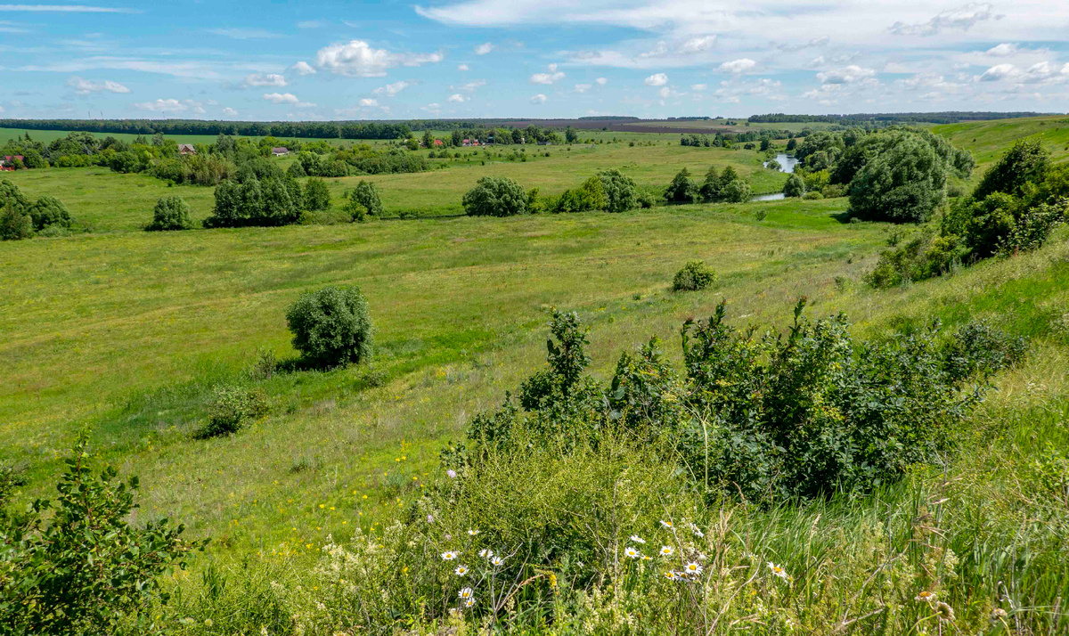 река Дон в окрестностях села Монастырщина. фото автора.