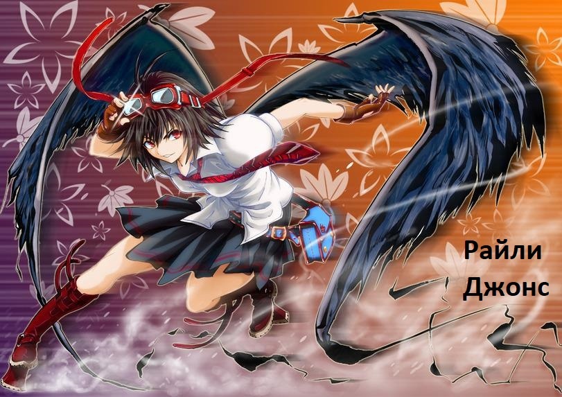 «Месть Чернокрылого», цикл книг Сергея Орлова