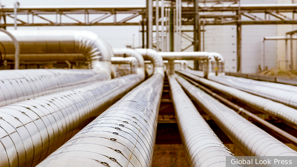    Фото: vz.ru Георгий