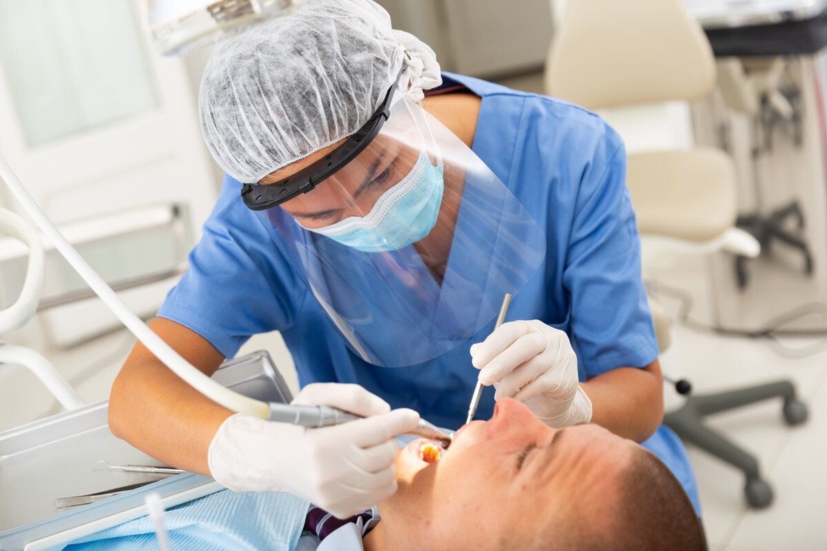    Фото: BearFotos / Shutterstock.com