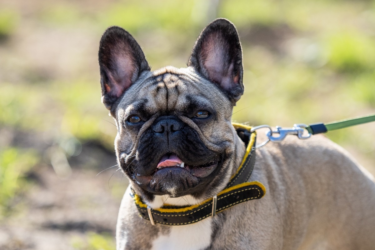 Фото: Александр Плонский / «ВиЖ»