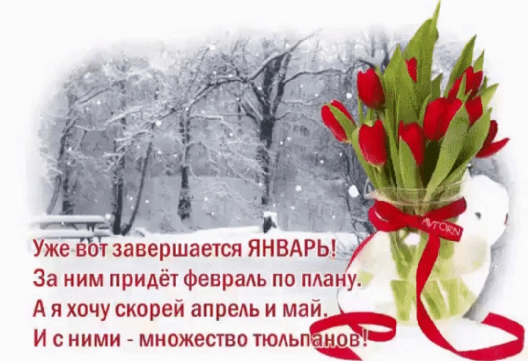 Картинка из Интернета