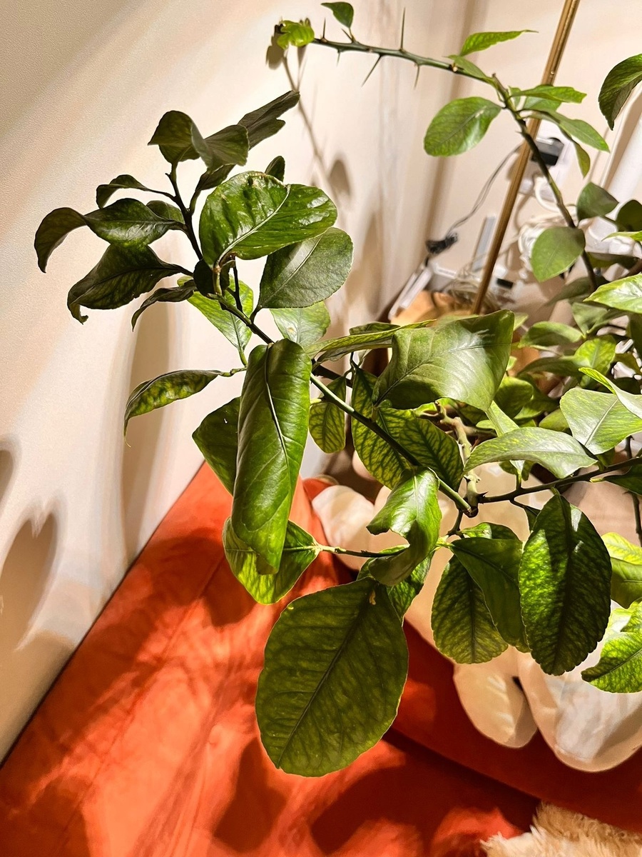 фото нашего подписчика