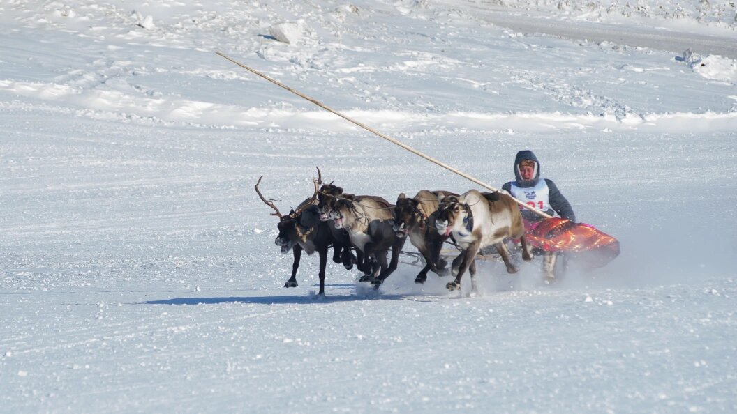    Dmitry Chasovitin/Global Look Press