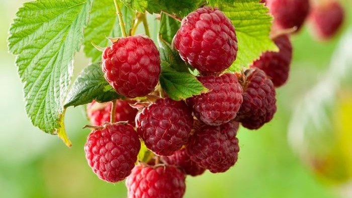 Фото с pinterest.com