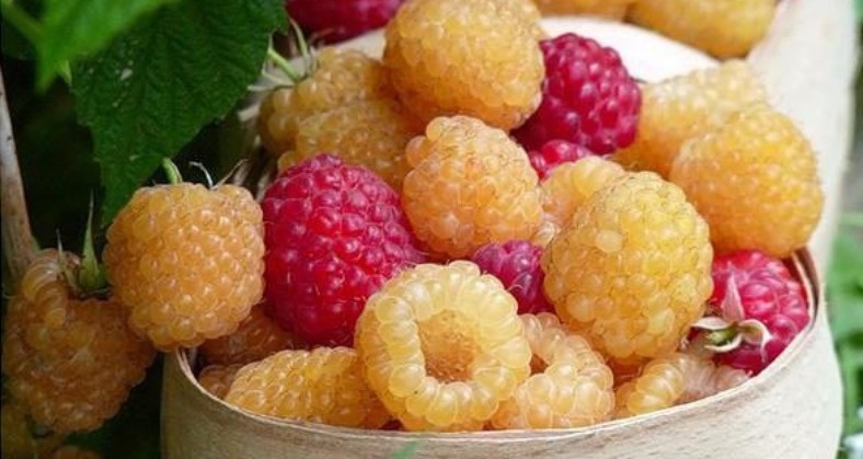 Фото с pinterest.com