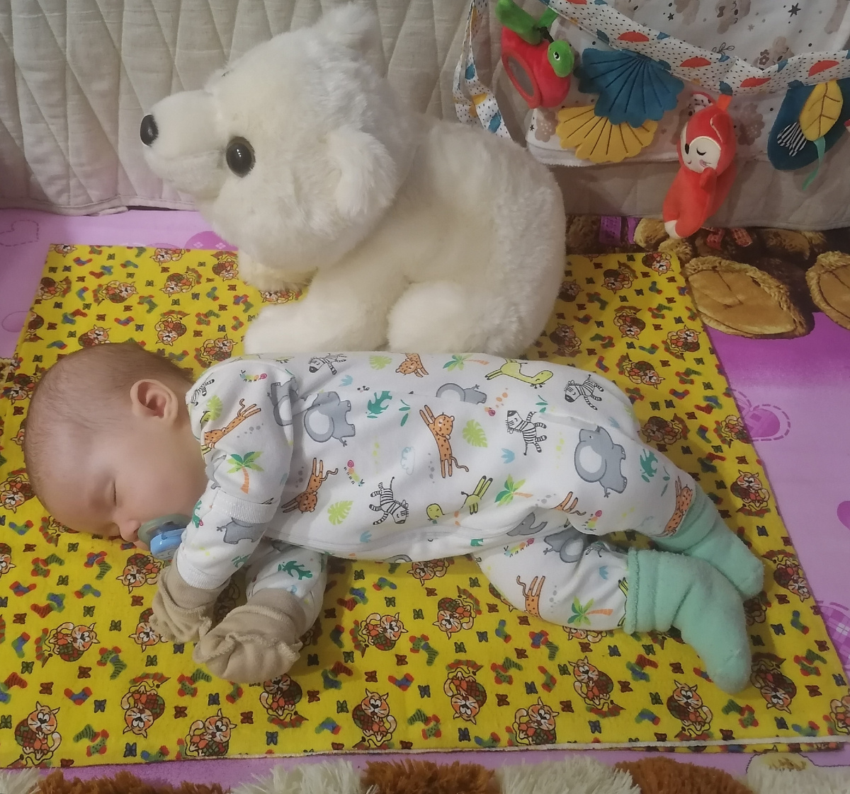 2 месяца. Начинаем надевать антицарапки