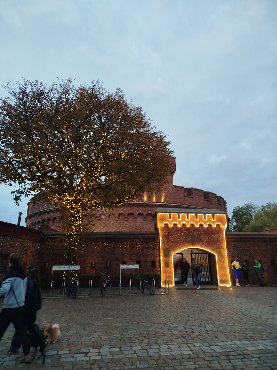 Калиниградский областной музей янтаря. Фотография автора.