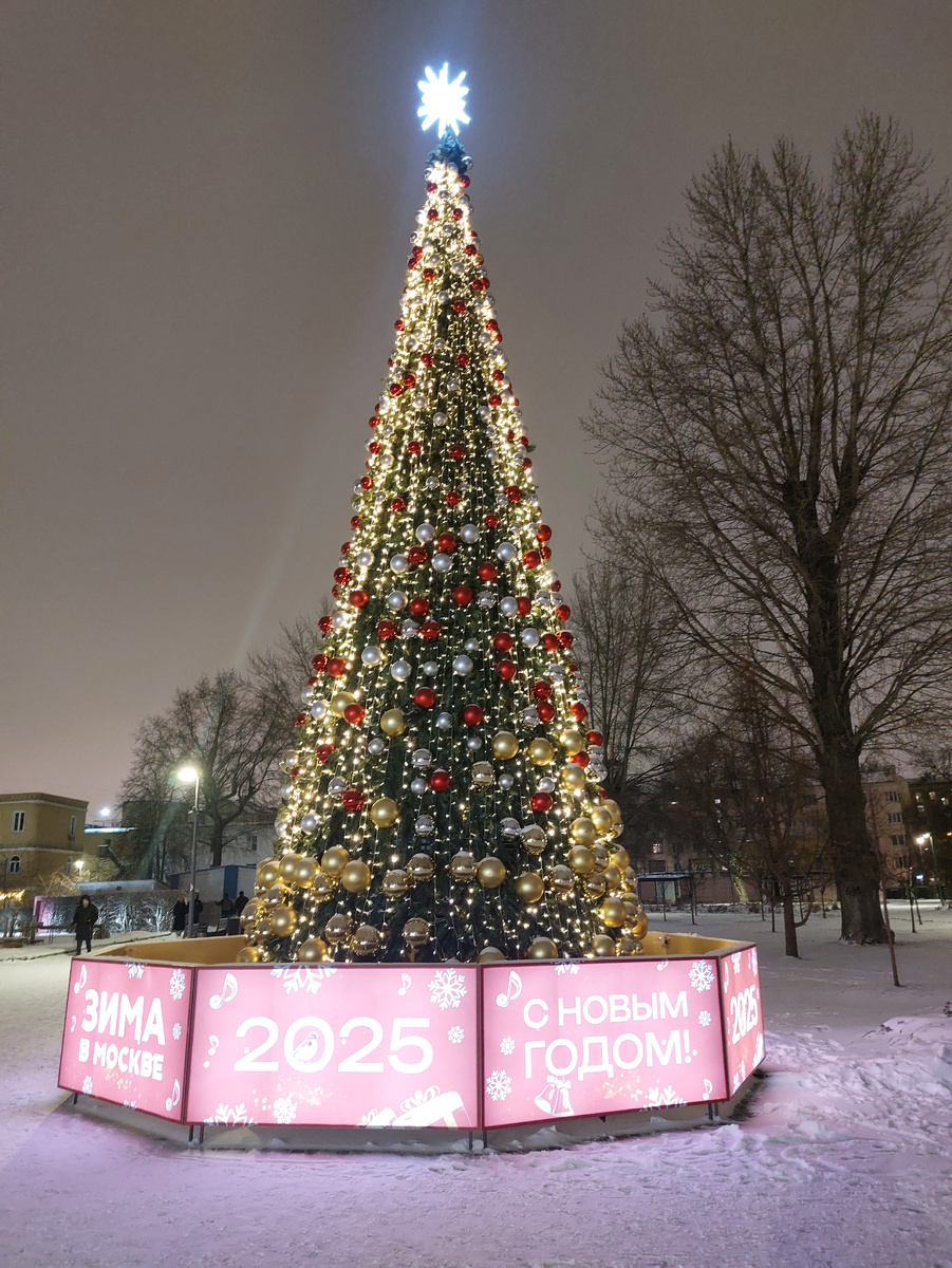 Ёлка в детском парке имени Прямикова