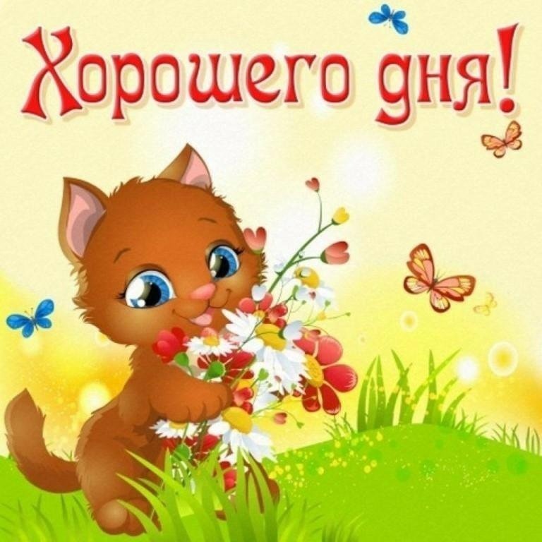 Из интернета для хорошего настроения 🫶🏻