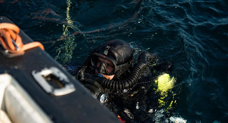    Nick Schrader/ Keystone Press Agency/ Global Look Press