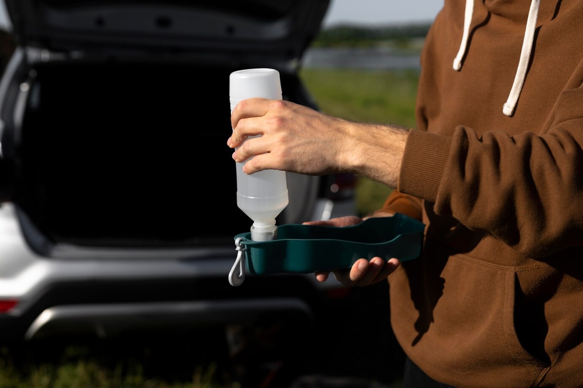 Фото с сайта freepik.com