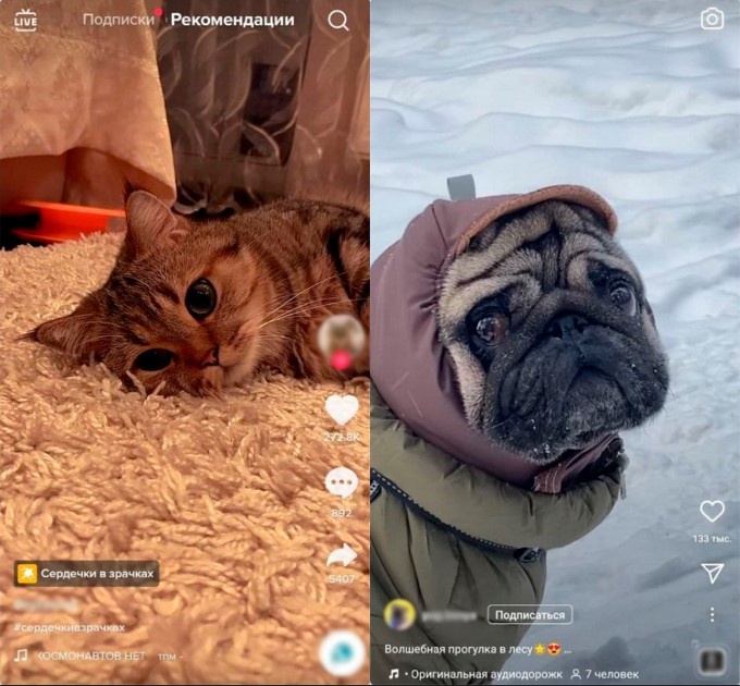 Сравнение ленты TikTok (слева) и Reels в Instagram* (справа)