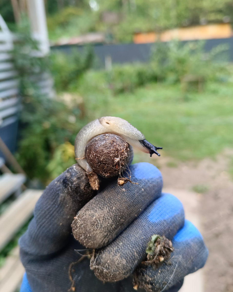 Хотела поговорить по душам... отказался