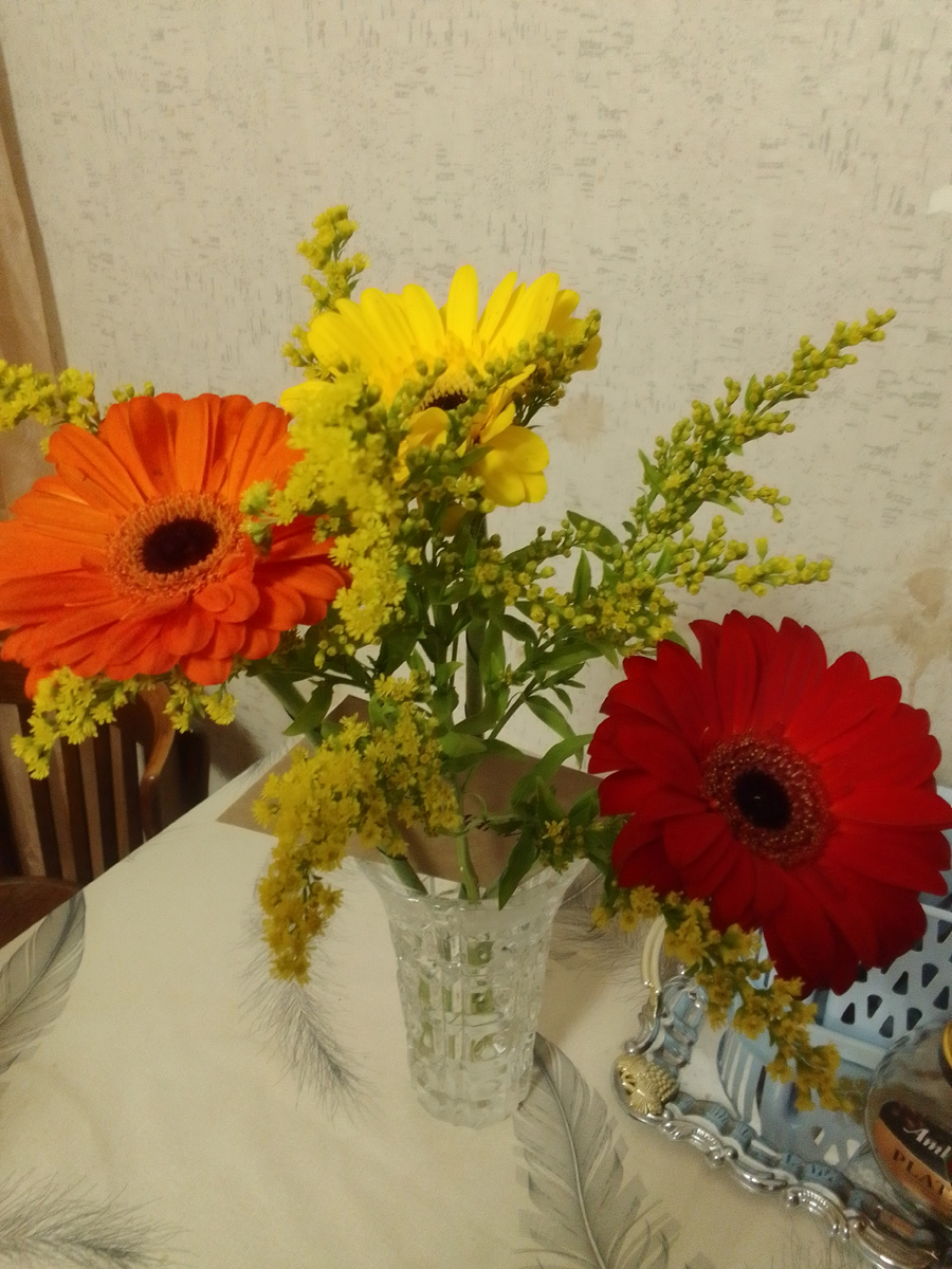 Фото для иллюстрации.