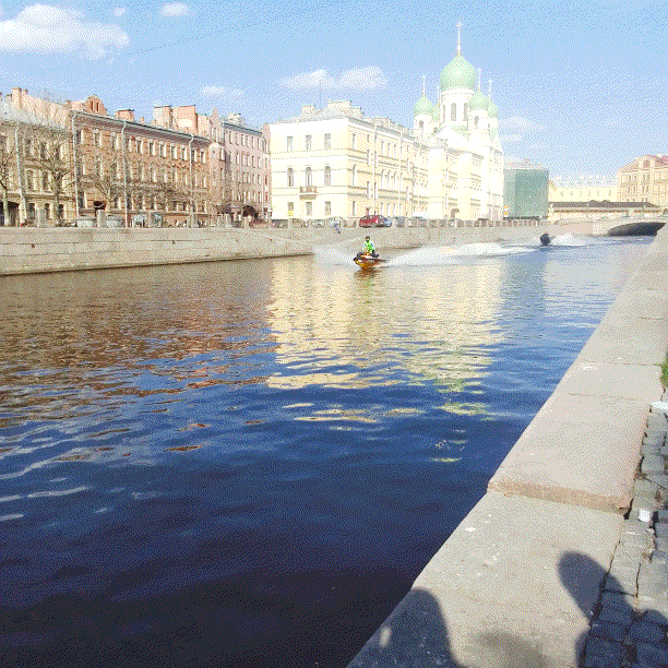 Первые "морские котики" на реках и каналах Петербурга. Желтый машет нам ручкой)